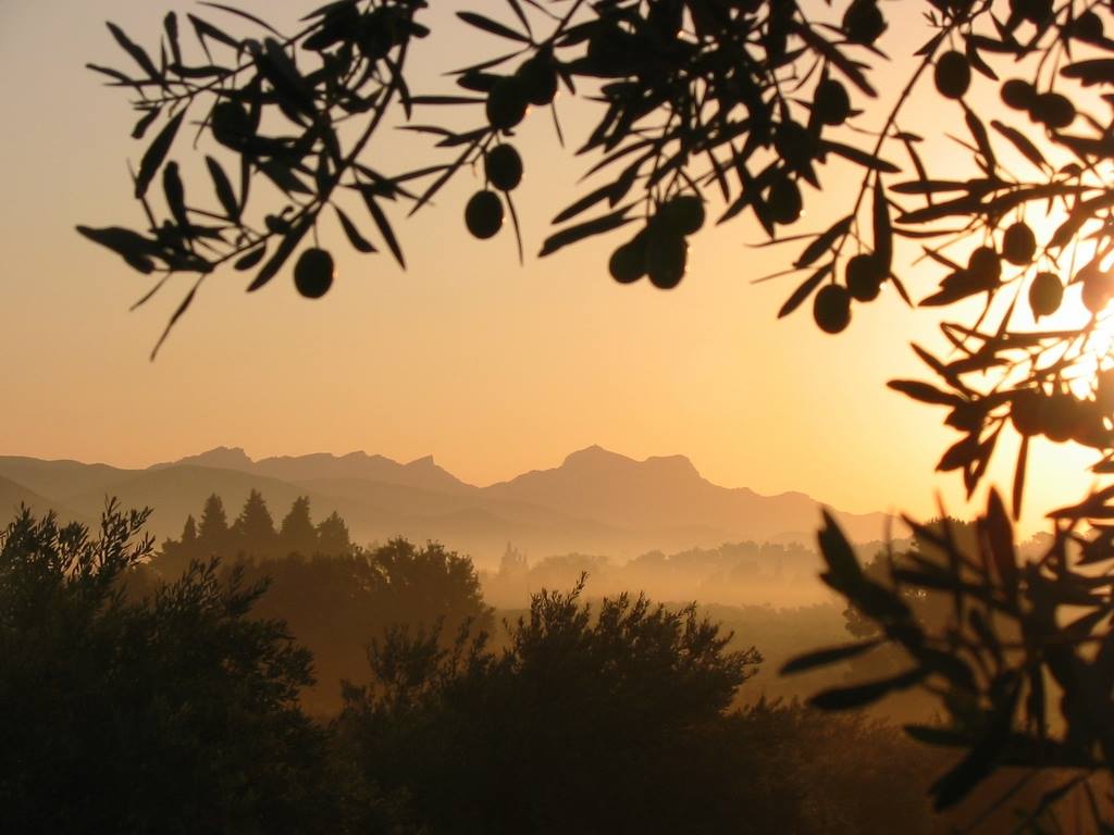 couche-soleil-alpilles-maussane-provence